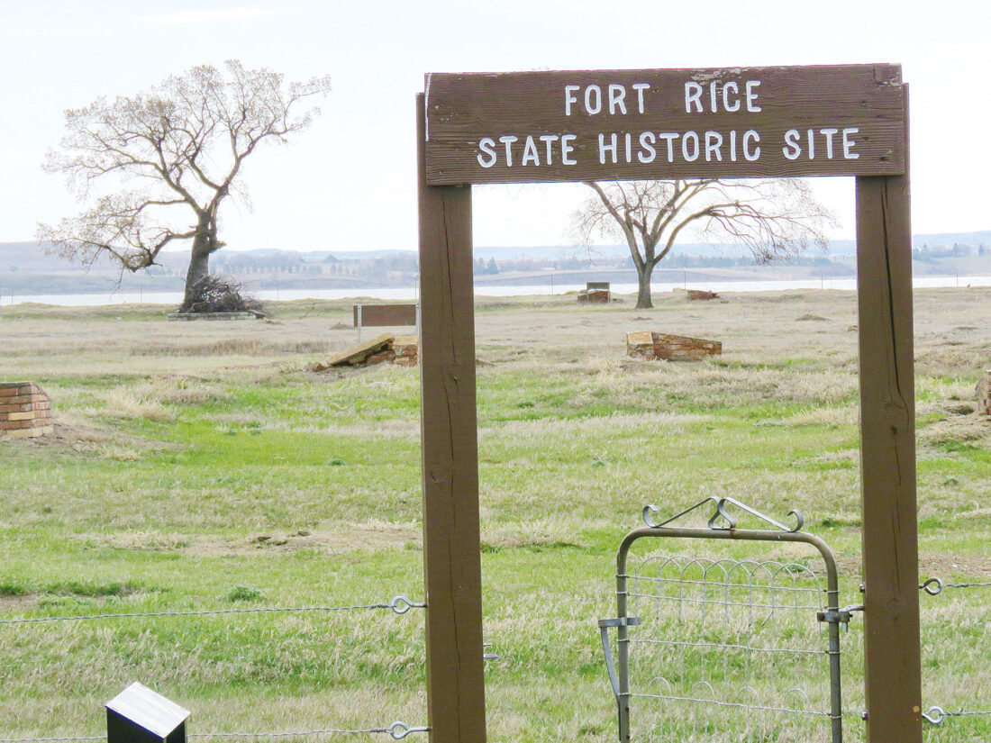 Witness Trees at Fort Rice, Dakota Territory News, Sports, Jobs Minot Daily News